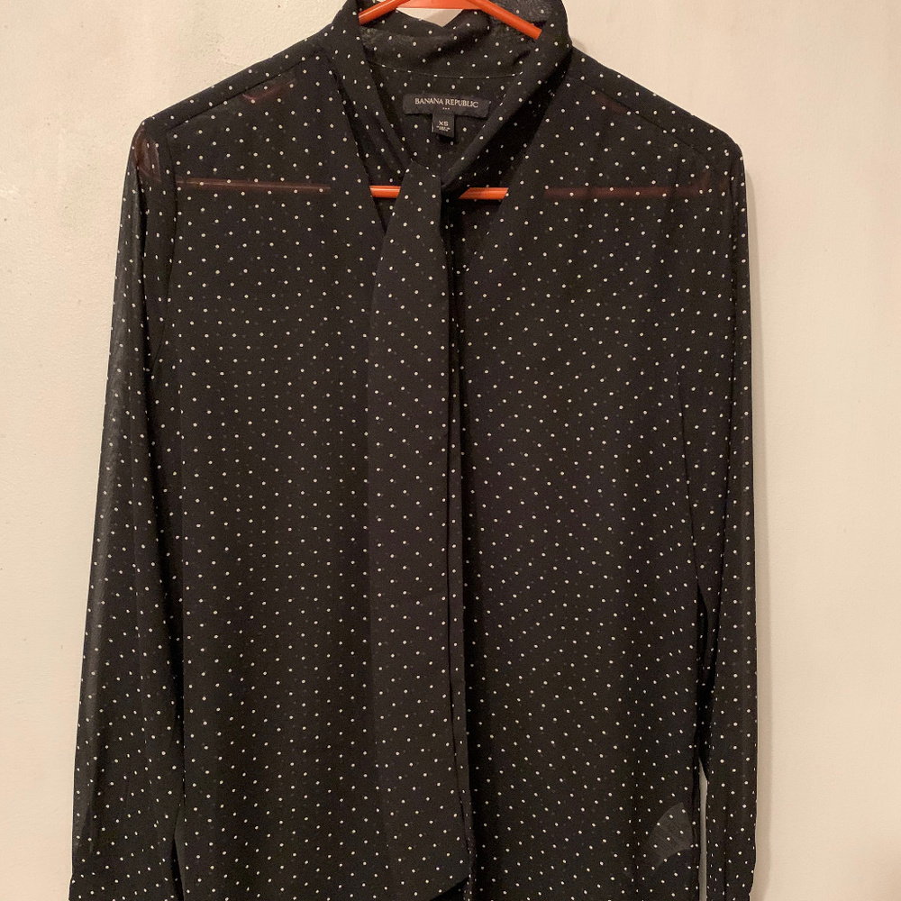 Banana Republic Long Sleeve Tie-Neck Sheer Blouse